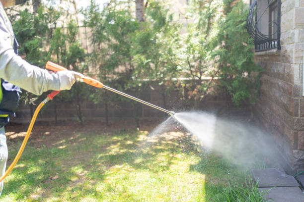 Best Pest Control Near Me in Beavercreek, OR